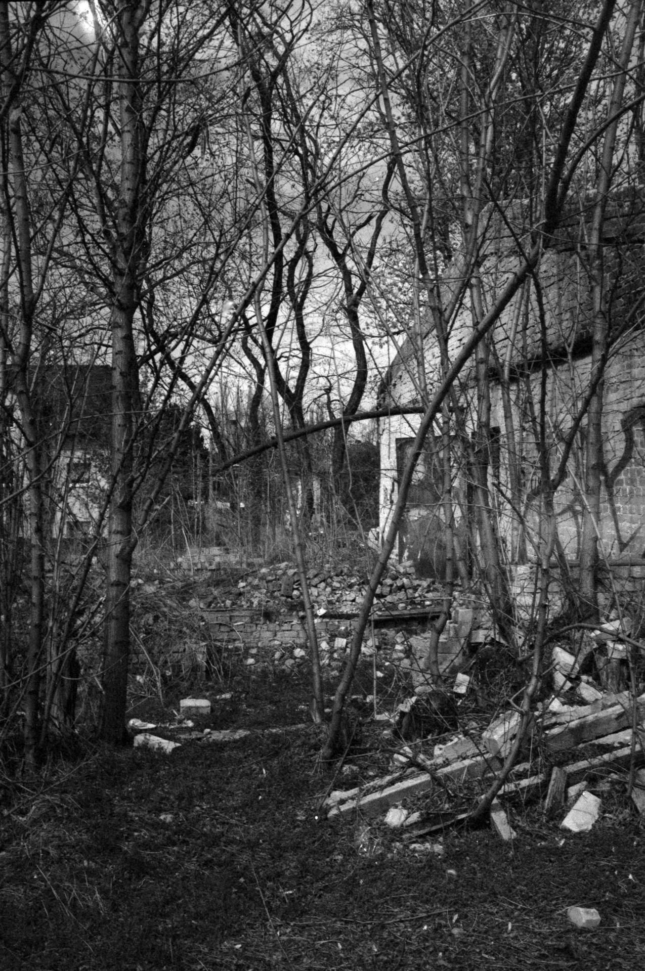 Thumbnail /2022 Berlin/Abandoned Köpenik IV.jpg